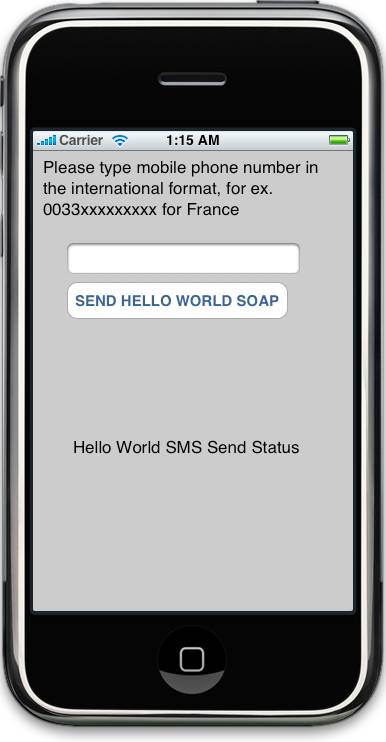 Capture mobile number in the international format