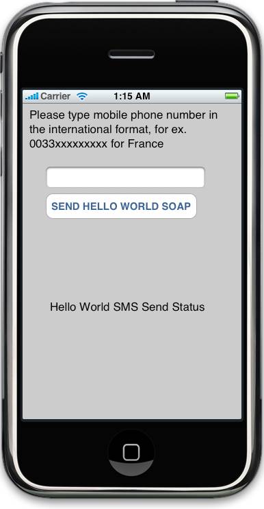 Capture mobile number in the international format